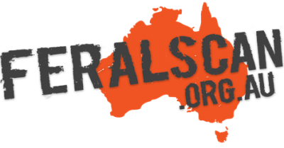 FeralScan-logo-e1618801936654